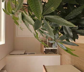 Penthouse Mirador
